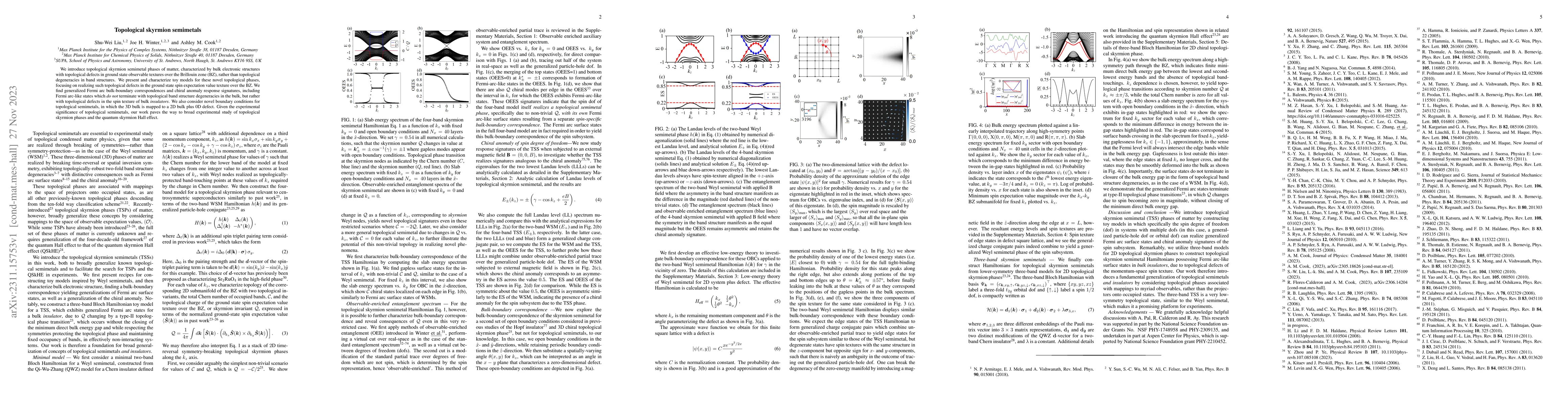 Thumbnail for Topological skyrmion semimetals