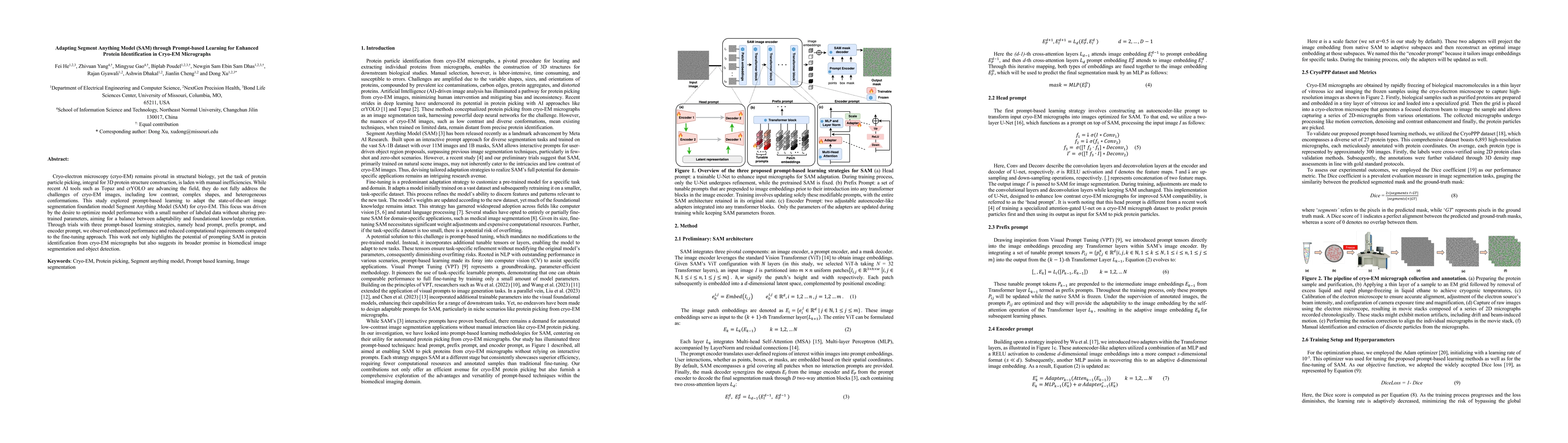 Thumbnail for Adapting Segment Anything Model (SAM) through Prompt-based Learning for
  Enhanced Protein Identification in Cryo-EM Micrographs