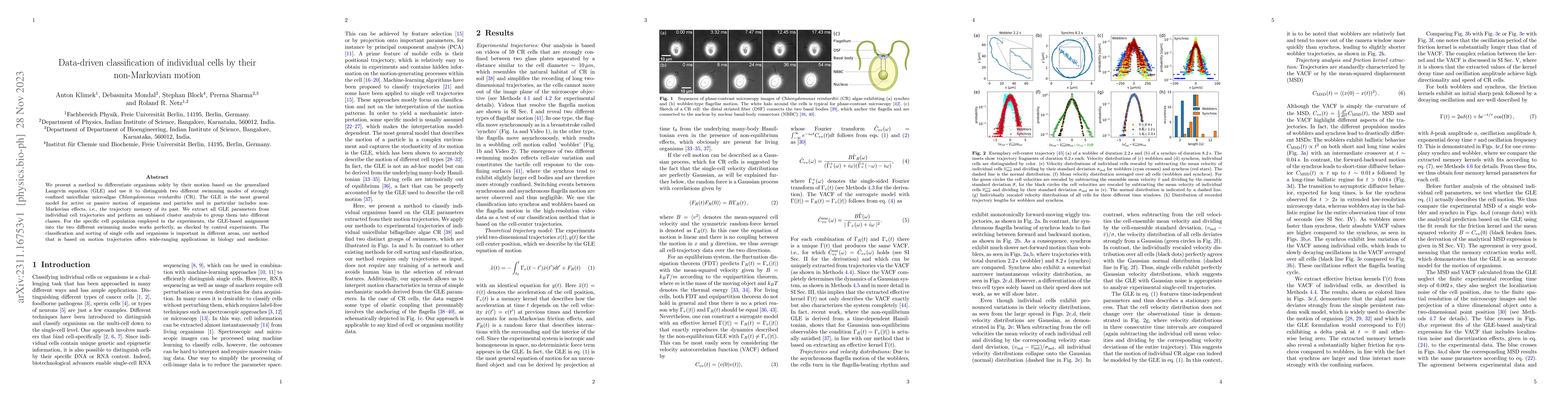 Thumbnail for Data-driven classification of individual cells by their non-Markovian
  motion
