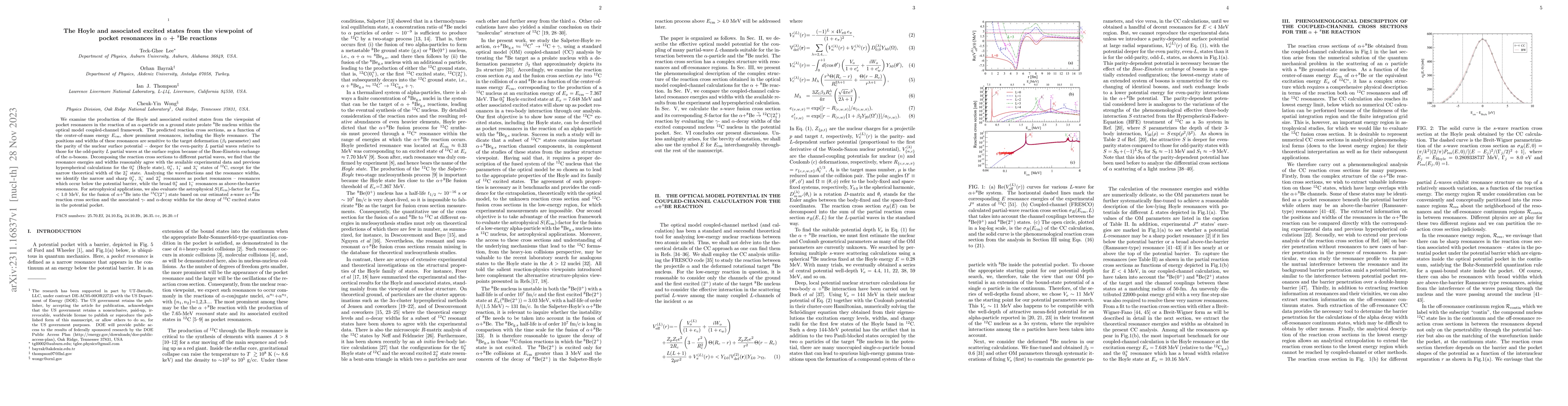 Thumbnail for The Hoyle and associated excited states from the viewpoint of pocket
  resonances in alpha + 8Be reactions