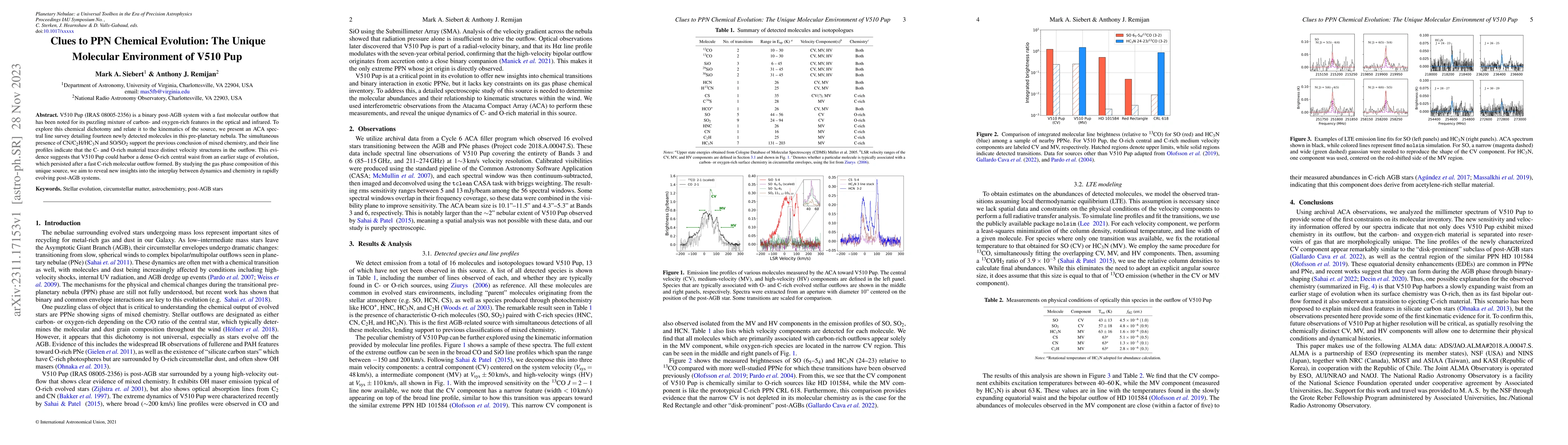 Thumbnail for Clues to PPN Chemical Evolution: The Unique Molecular Environment of
  V510 Pup
