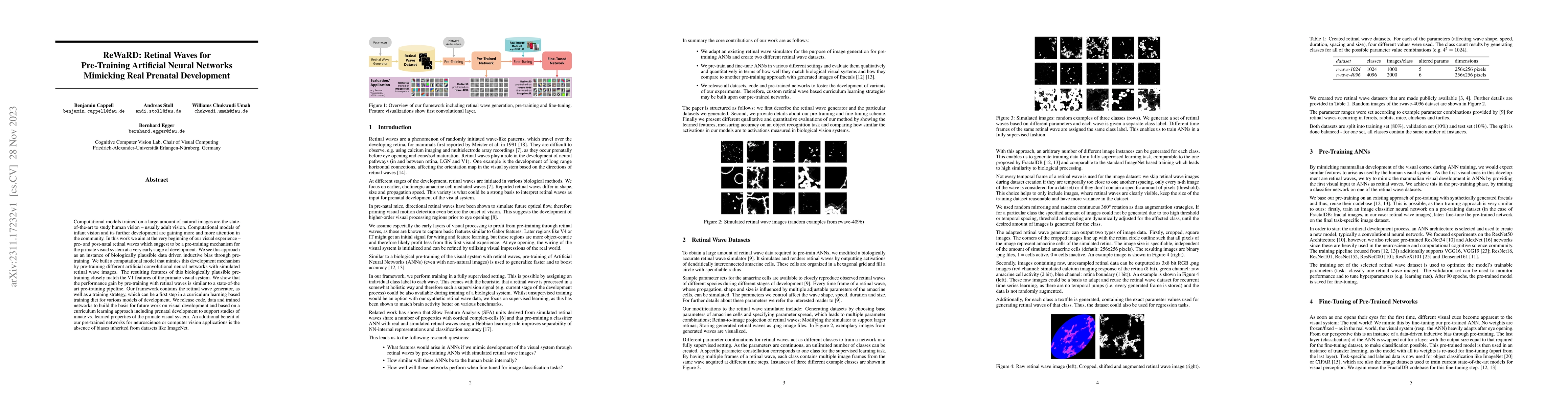 Thumbnail for ReWaRD: Retinal Waves for Pre-Training Artificial Neural Networks
  Mimicking Real Prenatal Development