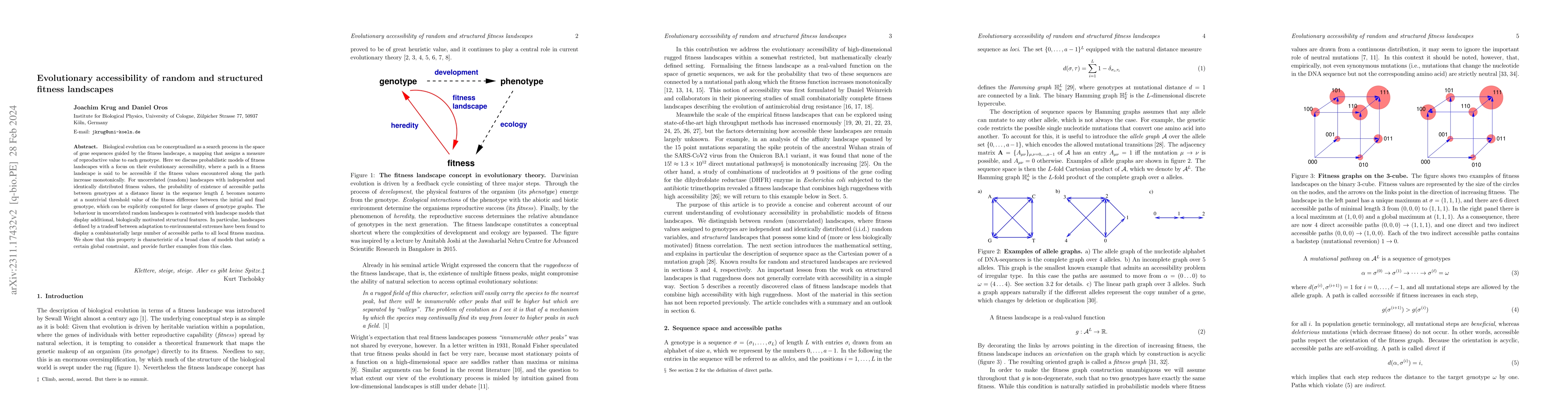 Thumbnail for Evolutionary accessibility of random and structured fitness landscapes