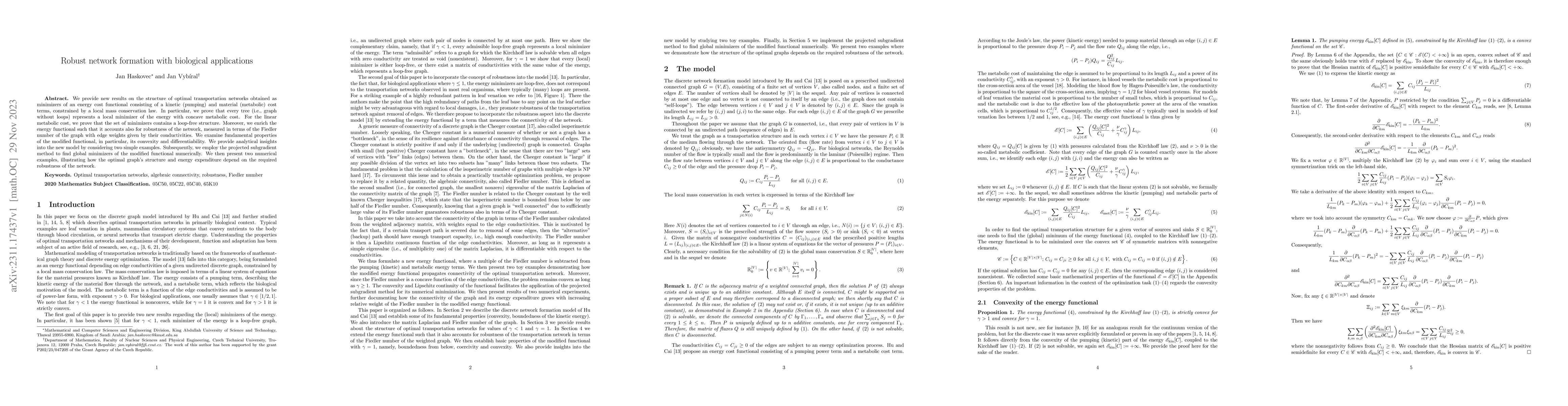 Thumbnail for Robust network formation with biological applications