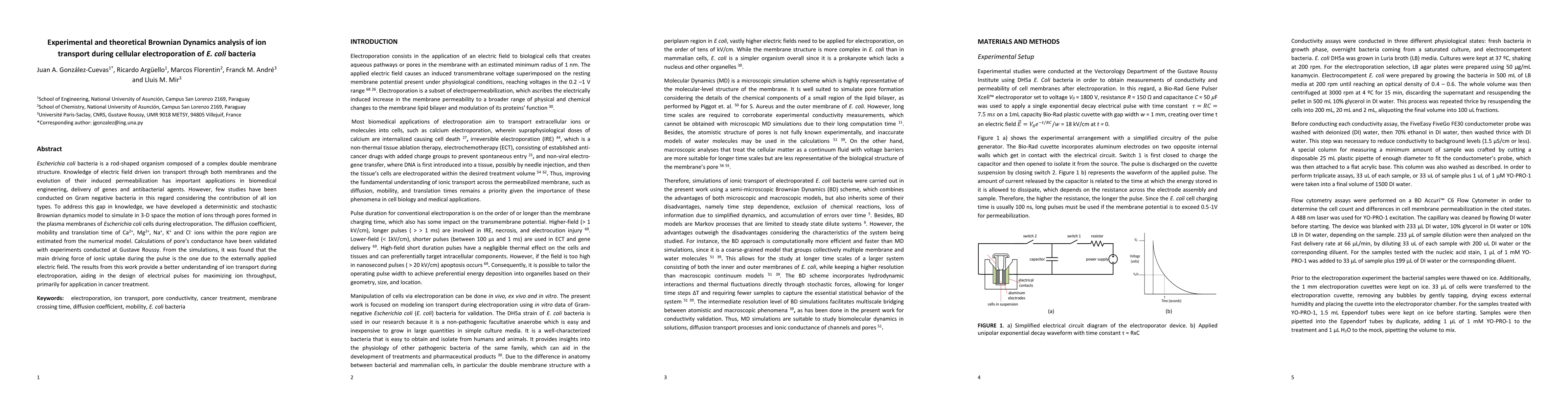 Thumbnail for Experimental and Theoretical Brownian Dynamics Analysis of Ion Transport
  During Cellular Electroporation of E. coli Bacteria