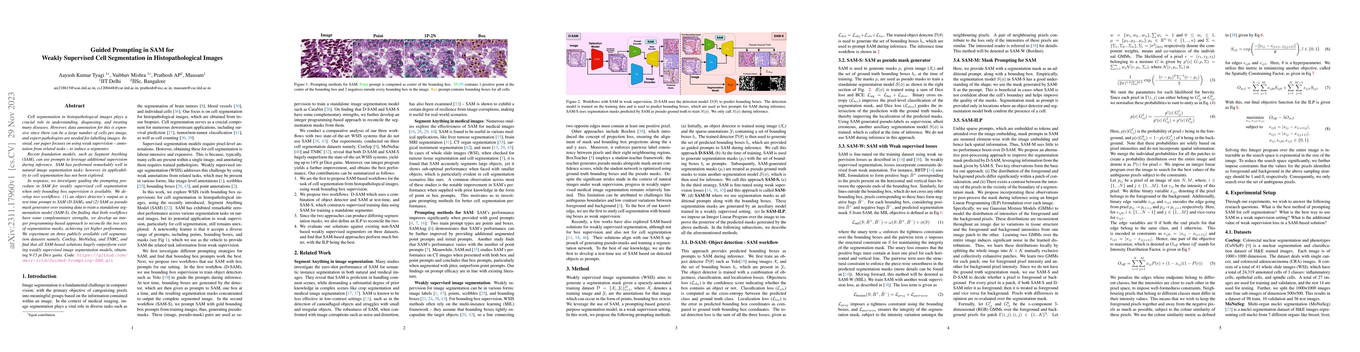 Thumbnail for Guided Prompting in SAM for Weakly Supervised Cell Segmentation in
  Histopathological Images