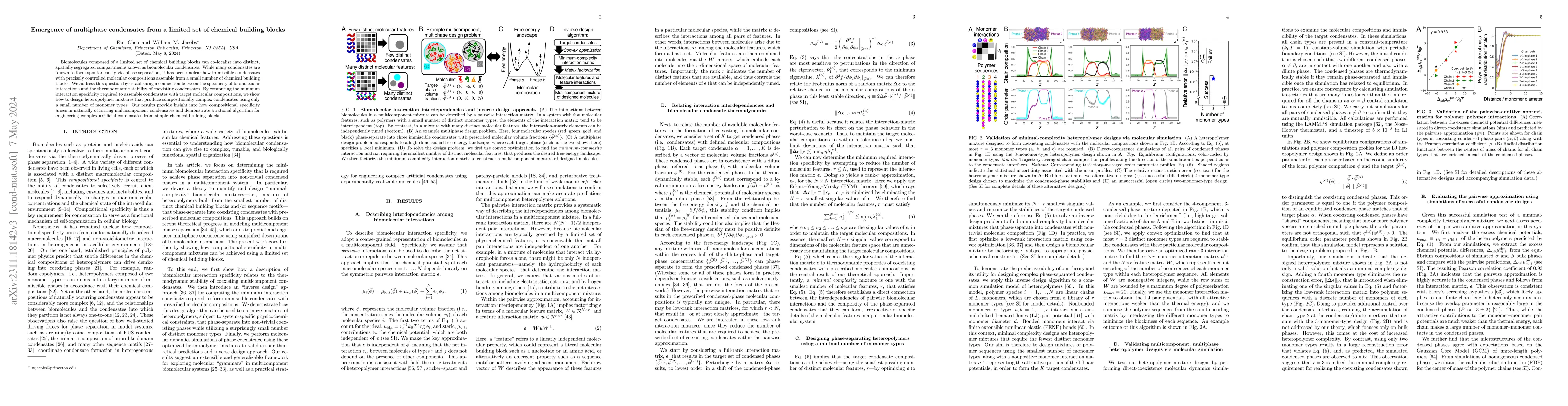 Thumbnail for Emergence of multiphase condensates from a limited set of chemical
  building blocks