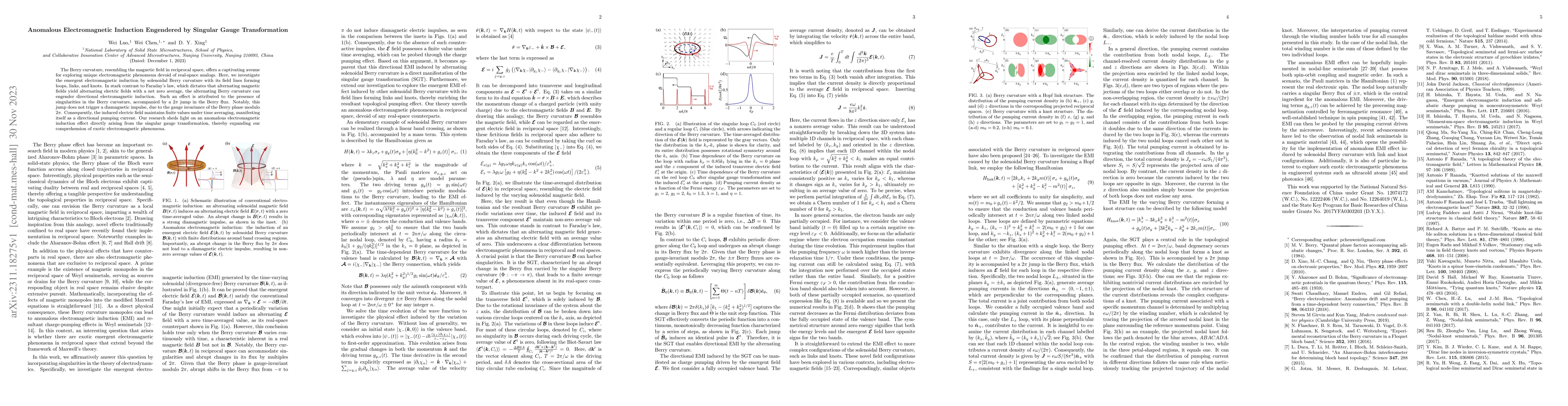Thumbnail for Anomalous Electromagnetic Induction Engendered by Singular Gauge
  Transformation