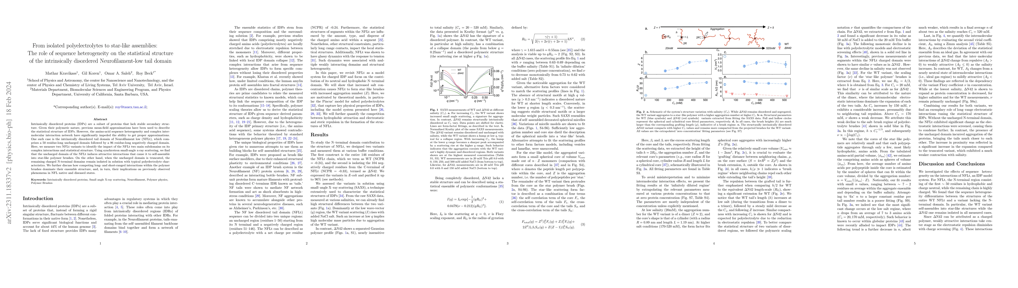 Thumbnail for From isolated polyelectrolytes to star-like assemblies: The role of
  sequence heterogeneity on the statistical structure of the intrinsically
  disordered Neurofilament-low tail domain
