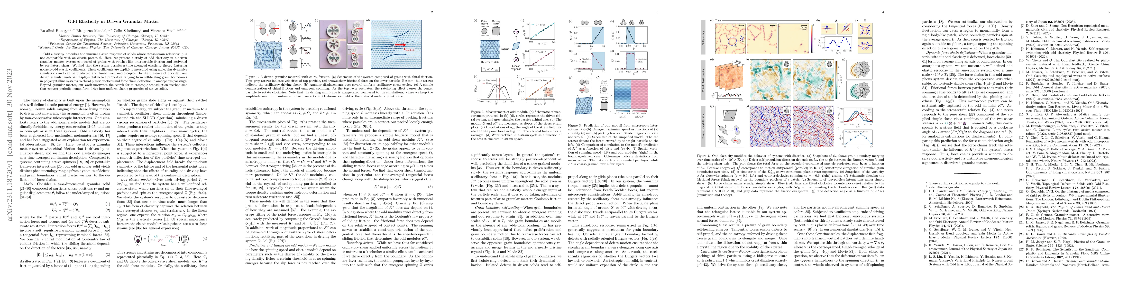 Thumbnail for Odd elasticity in driven granular matter