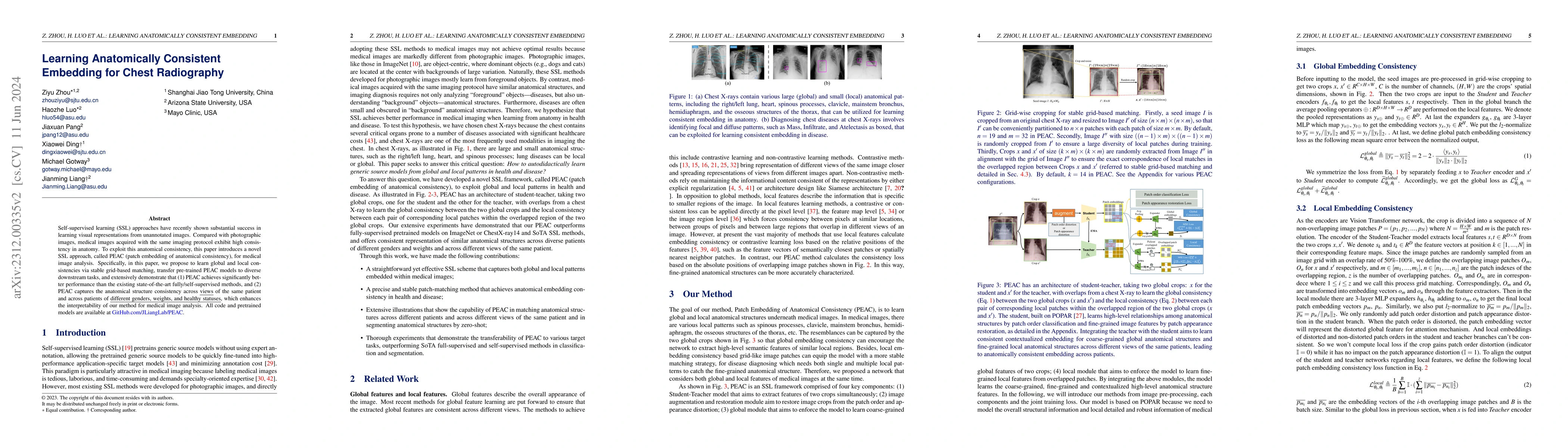 Thumbnail for Learning Anatomically Consistent Embedding for Chest Radiography