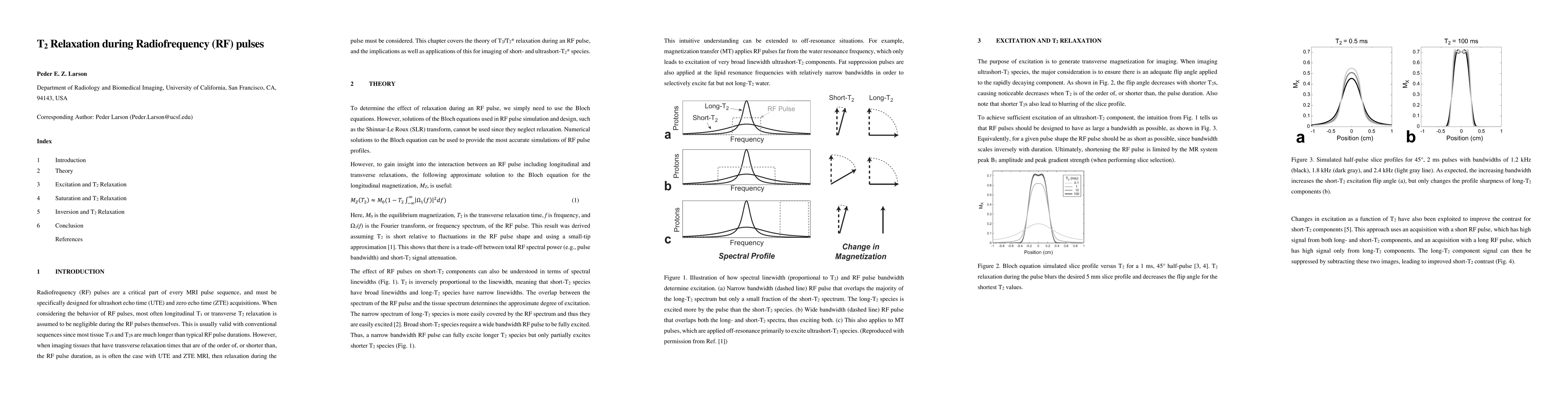 Thumbnail for T2 Relaxation during Radiofrequency (RF) pulses
