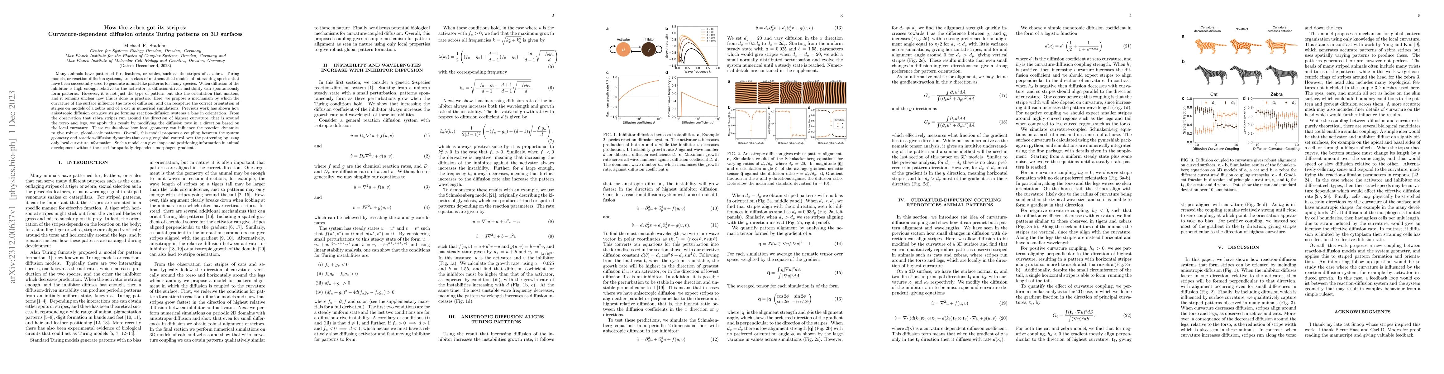 Thumbnail for How the zebra got its stripes: Curvature-dependent diffusion orients
  Turing patterns on 3D surfaces