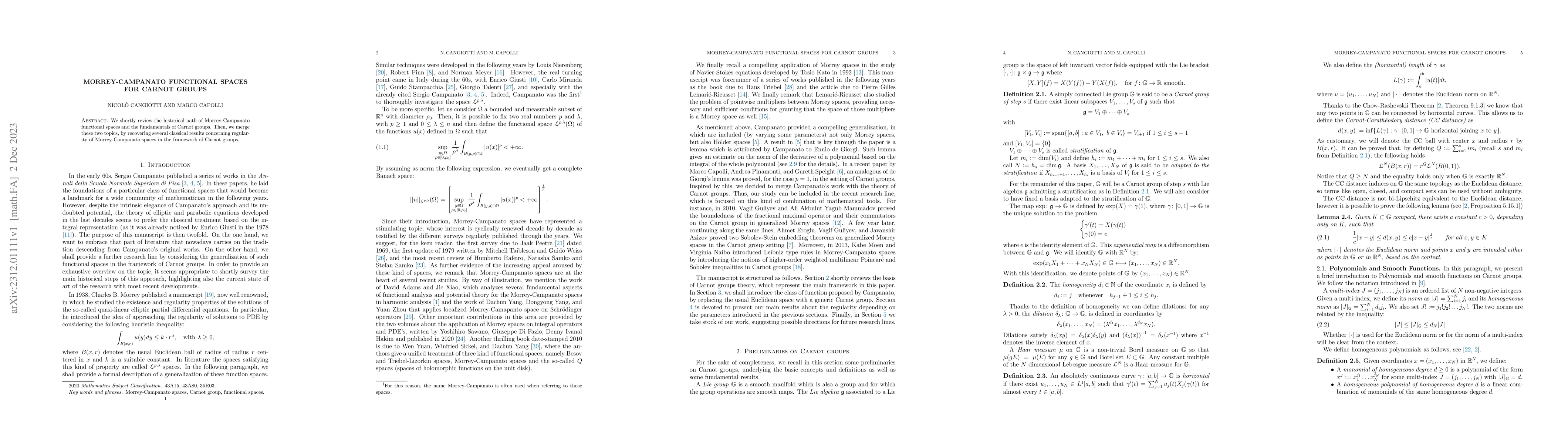 Thumbnail for Morrey-Campanato Functional Spaces for Carnot Groups