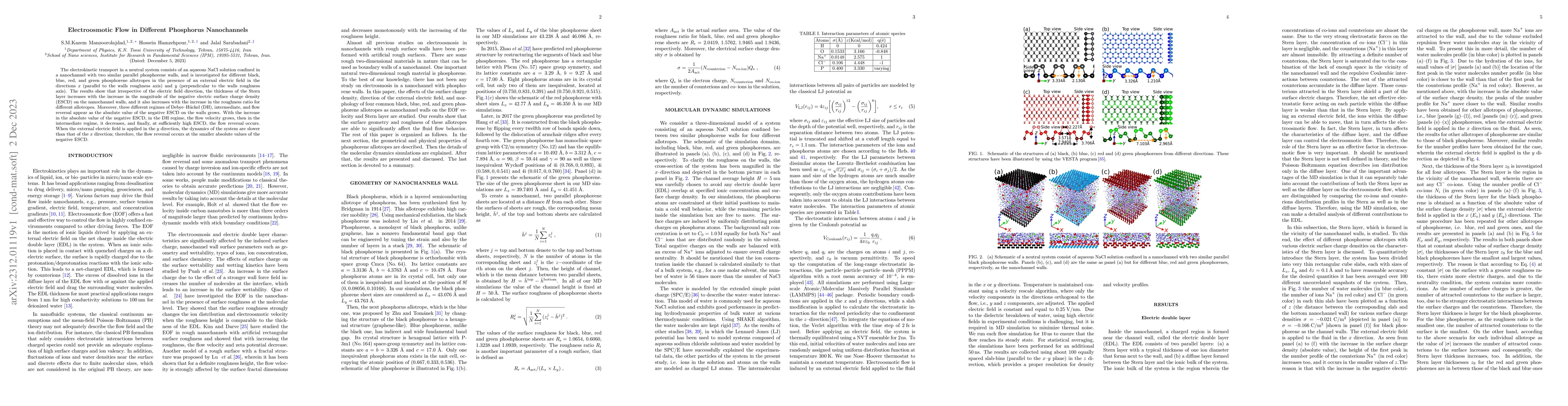 Thumbnail for Electroosmotic Flow in Different Phosphorus Nanochannels