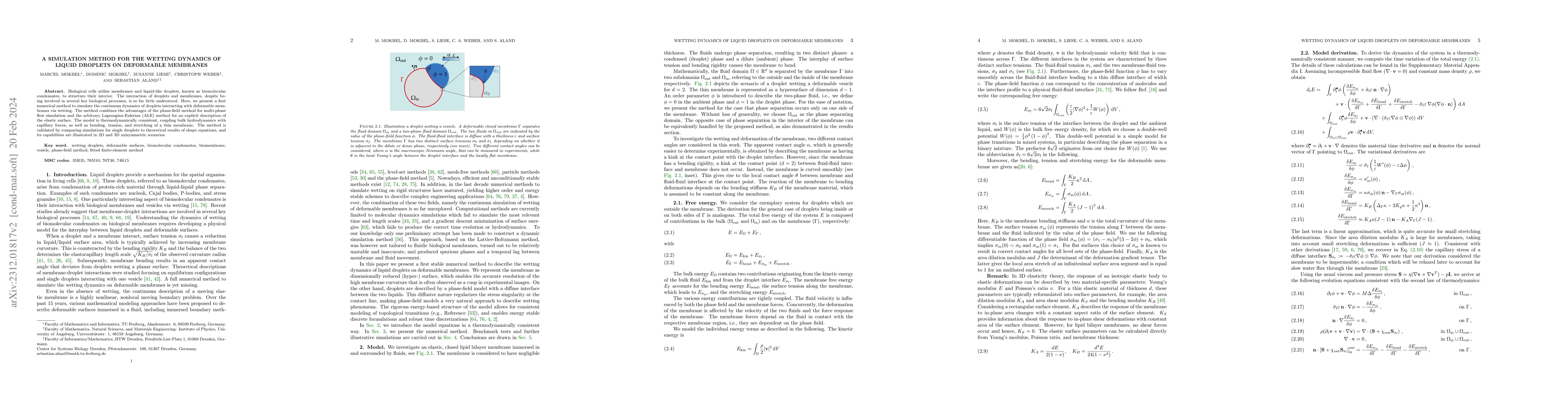 Thumbnail for A simulation method for the wetting dynamics of liquid droplets on
  deformable membranes