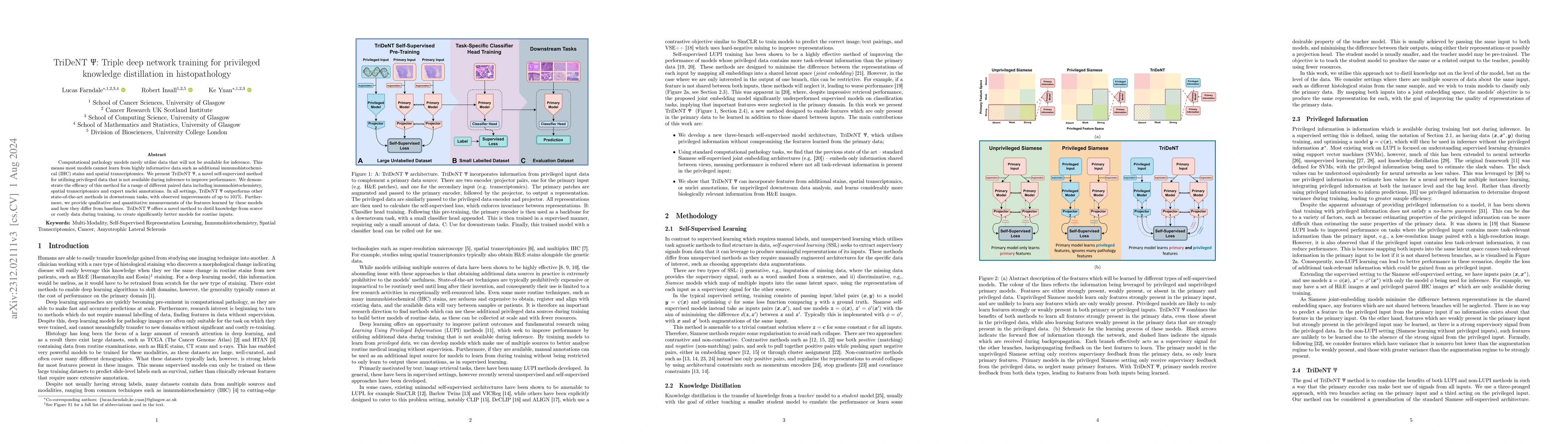 Thumbnail for TriDeNT: Triple Deep Network Training for Privileged Knowledge
  Distillation in Histopathology