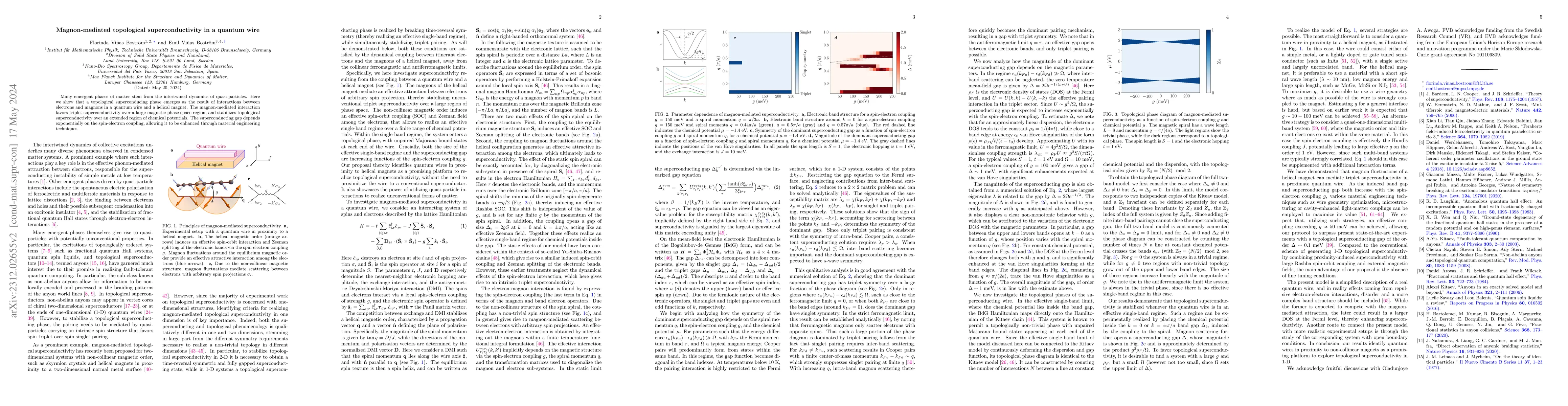 Thumbnail for Magnon-mediated topological superconductivity in a quantum wire
