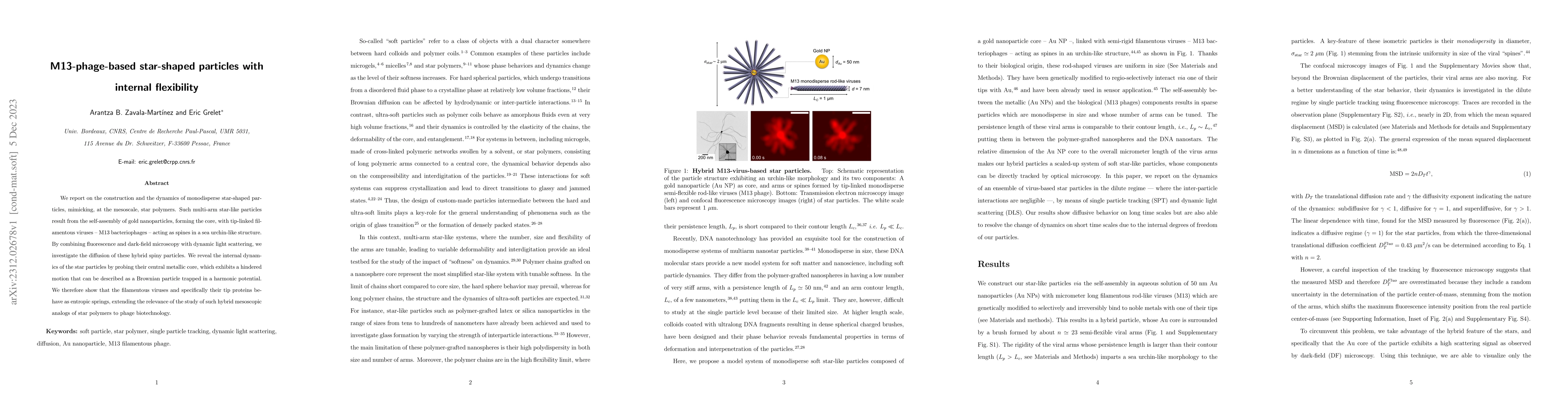Thumbnail for M13-phage-based star-shaped particles with internal flexibility