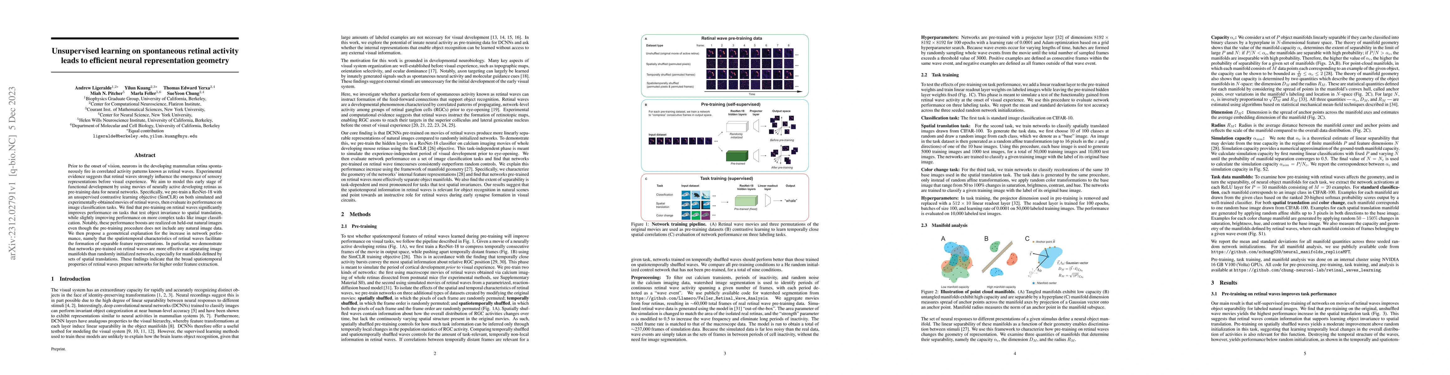 Thumbnail for Unsupervised learning on spontaneous retinal activity leads to efficient
  neural representation geometry