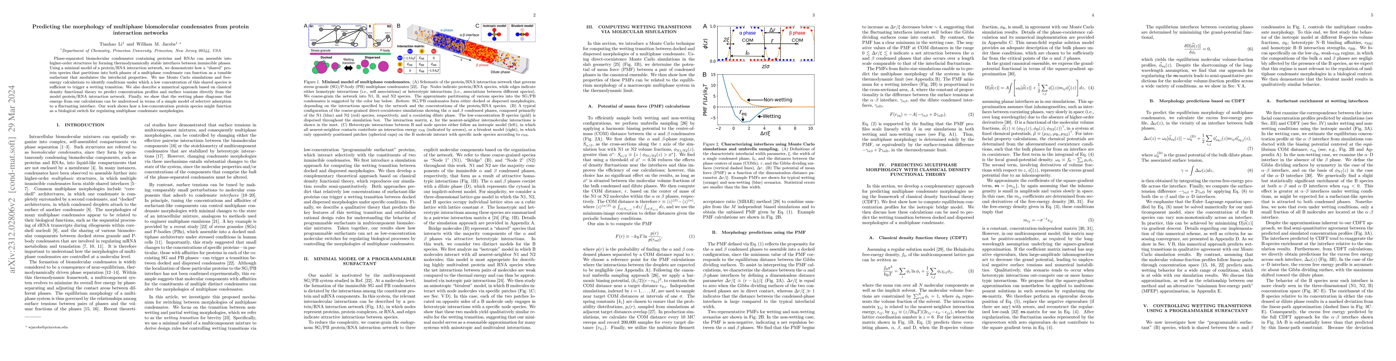 Thumbnail for Predicting the morphology of multiphase biomolecular condensates from
  protein interaction networks
