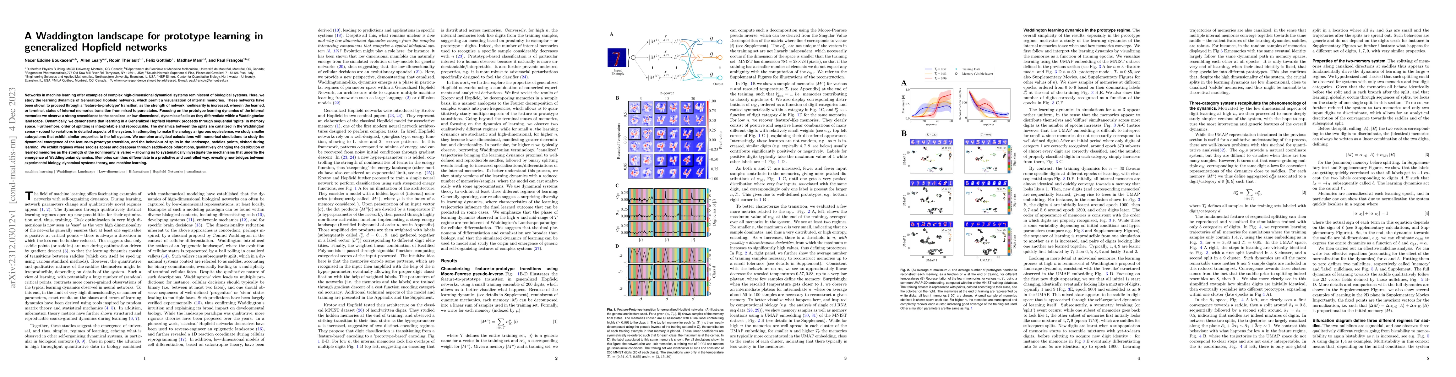 Thumbnail for A Waddington landscape for prototype learning in generalized Hopfield
  networks