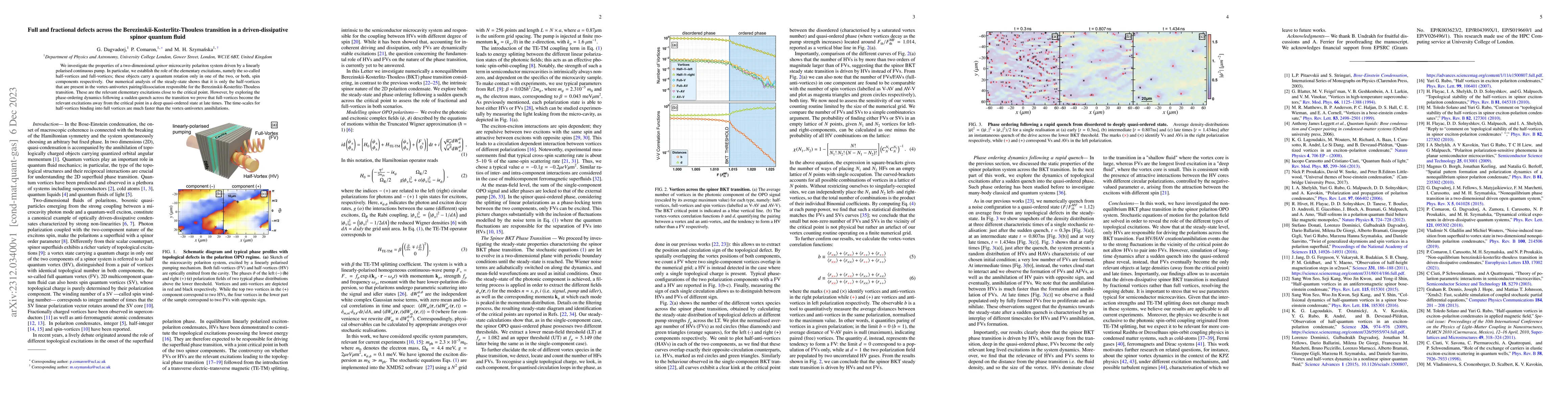 Thumbnail for Full and fractional defects across the Berezinskii-Kosterlitz-Thouless
  transition in a driven-dissipative spinor quantum fluid