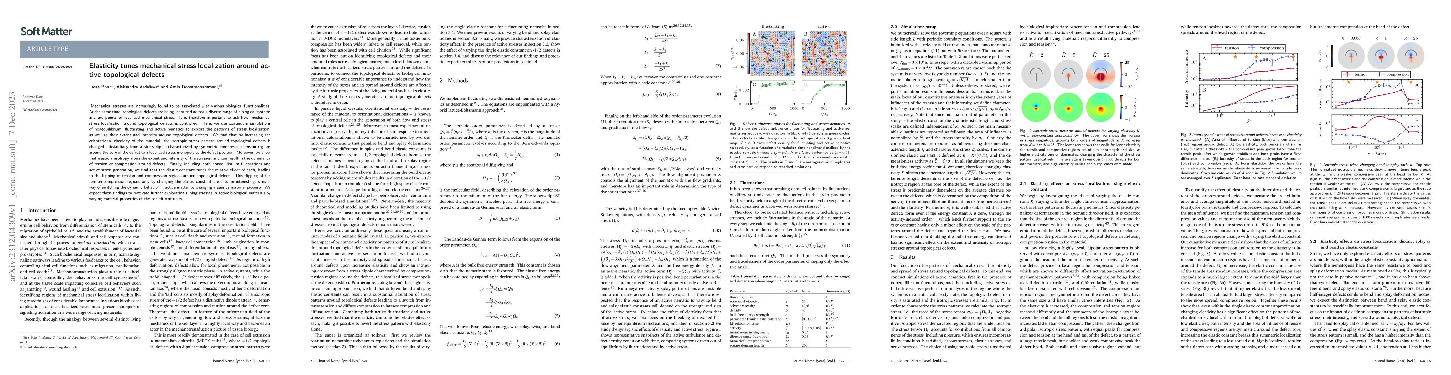 Thumbnail for Elasticity tunes mechanical stress localization around active
  topological defects