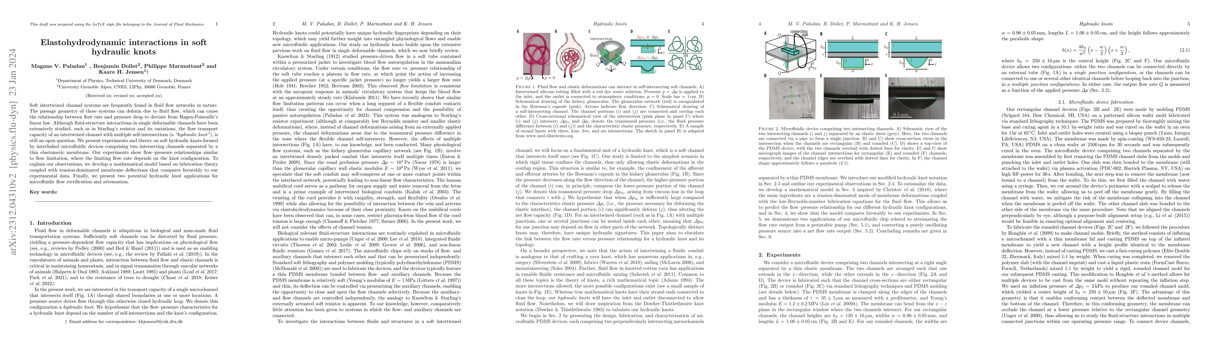 Thumbnail for Elastohydrodynamic interactions in soft hydraulic knots