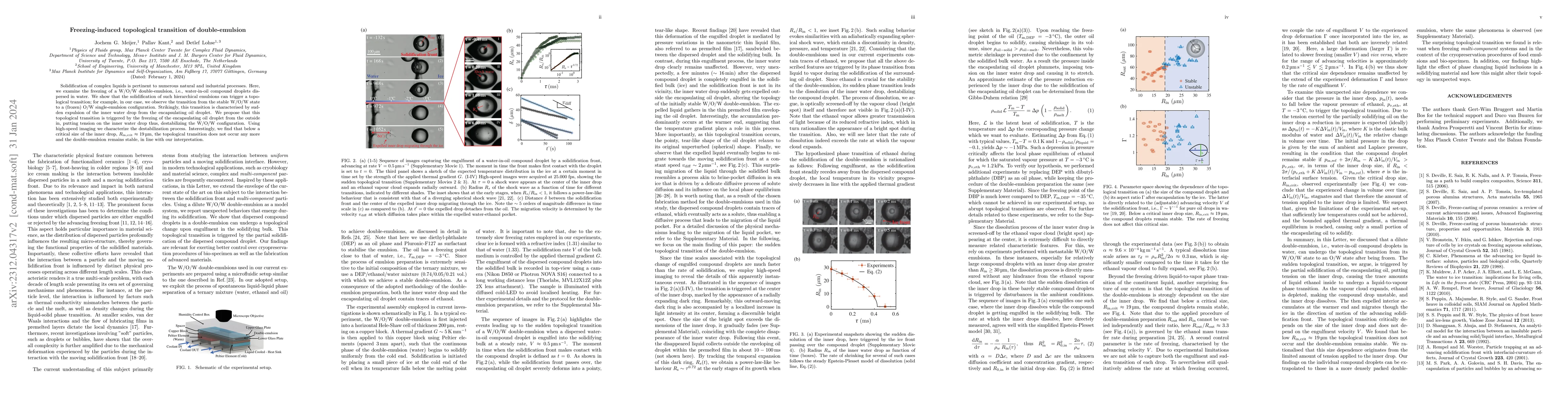 Thumbnail for Freezing-induced topological transition of double-emulsion