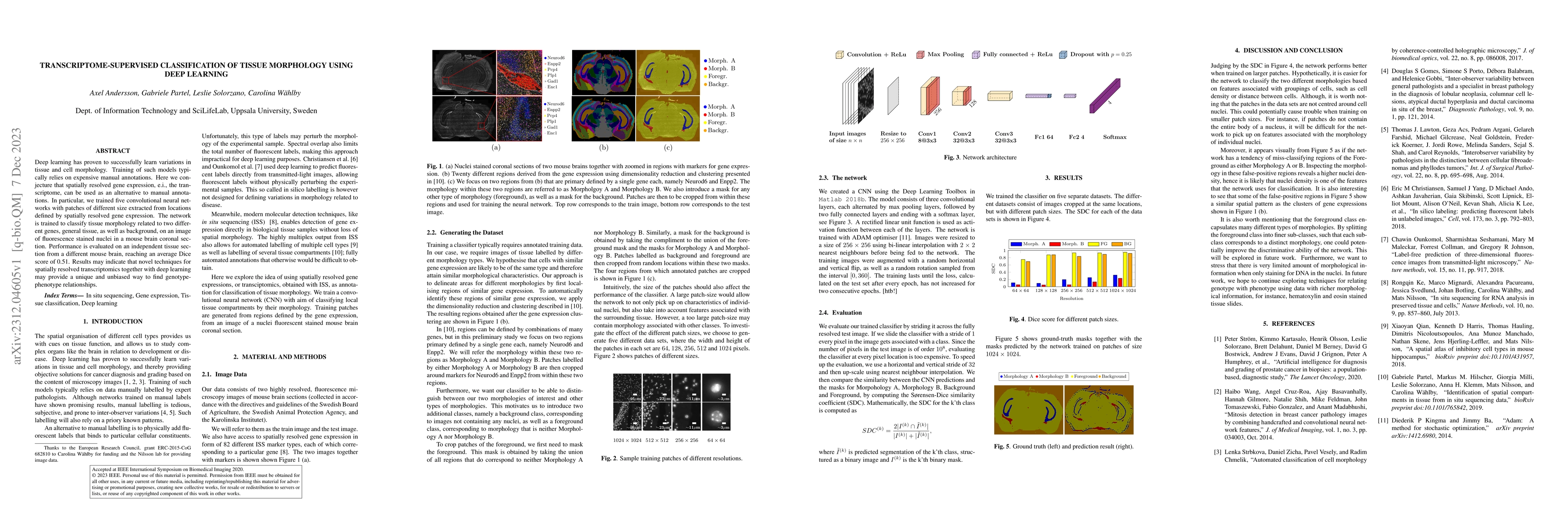 Thumbnail for Transcriptome-supervised classification of tissue morphology using deep
  learning