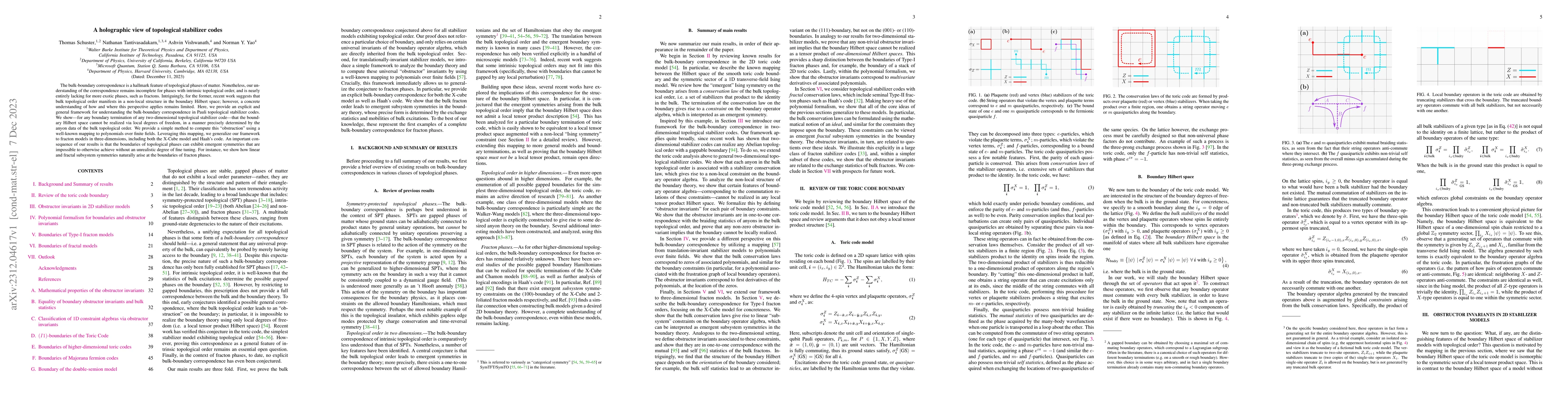 Thumbnail for A holographic view of topological stabilizer codes
