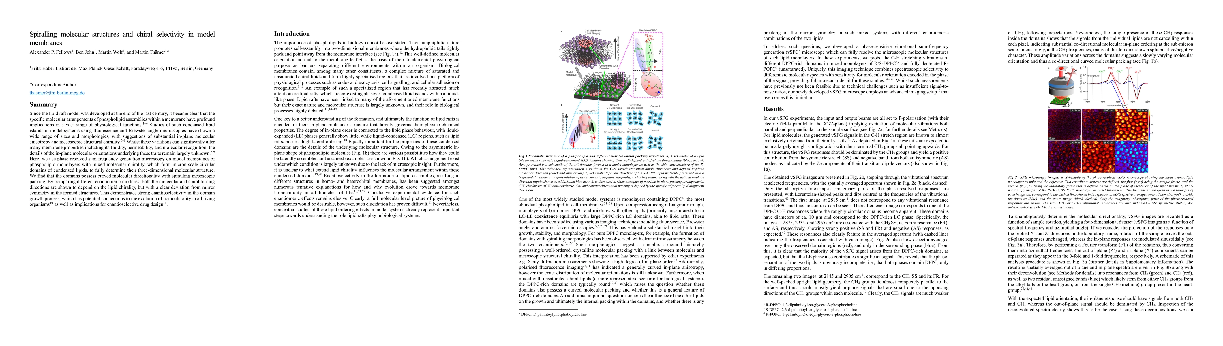 Thumbnail for Spiralling molecular structures and chiral selectivity in model
  membranes