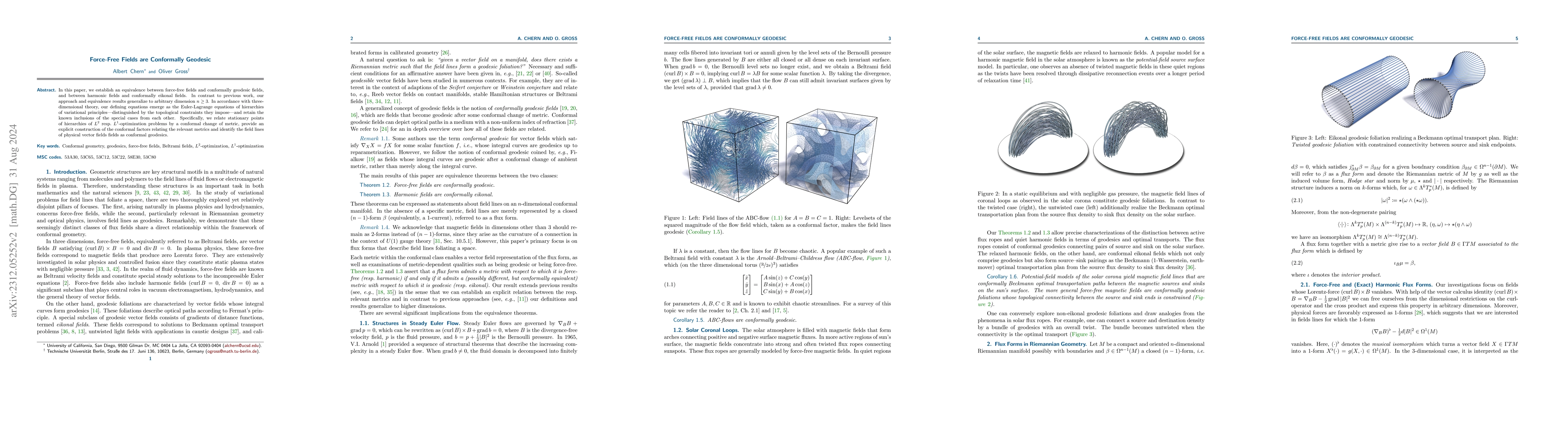 Thumbnail for Force-Free Fields are Conformally Geodesic