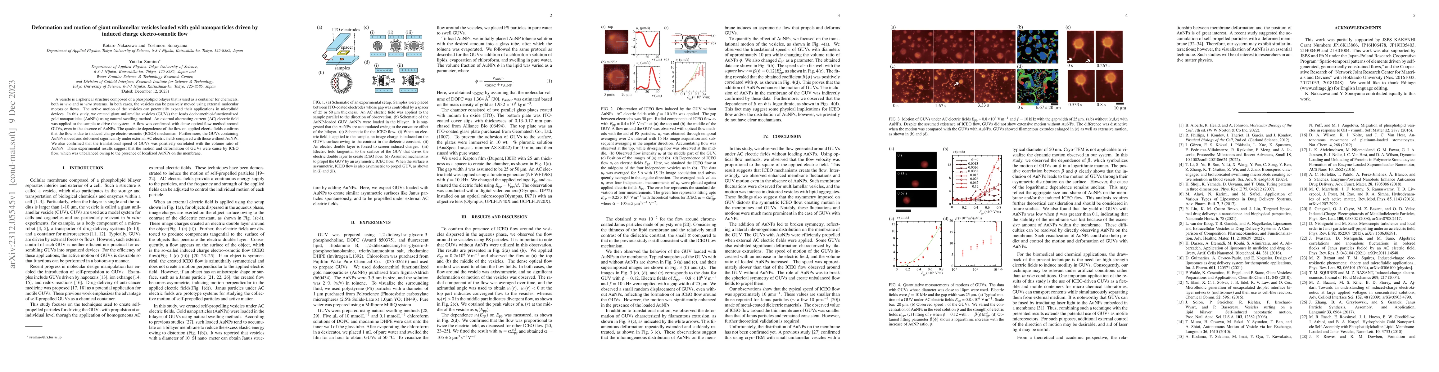 Thumbnail for Deformation and motion of giant unilamellar vesicles loaded with gold
  nanoparticles driven by induced charge electro-osmotic flow
