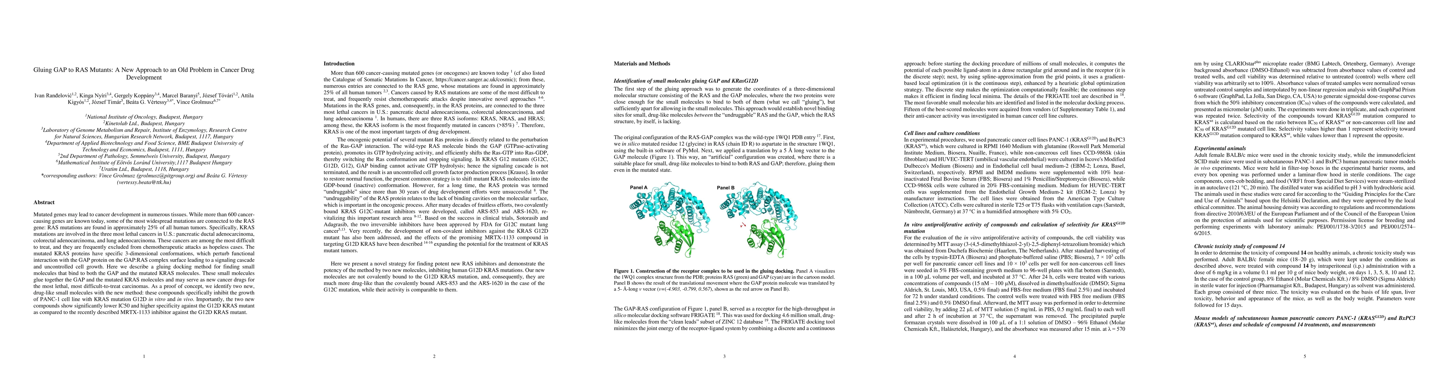 Thumbnail for Gluing GAP to RAS Mutants: A New Approach to an Old Problem in Cancer
  Drug Development