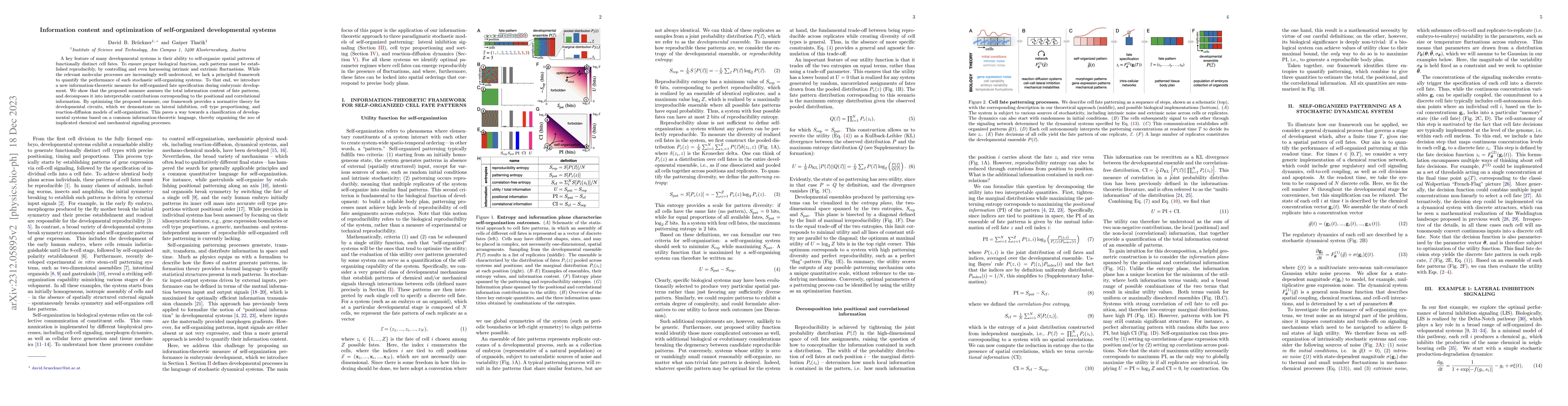 Thumbnail for Information content and optimization of self-organized developmental
  systems