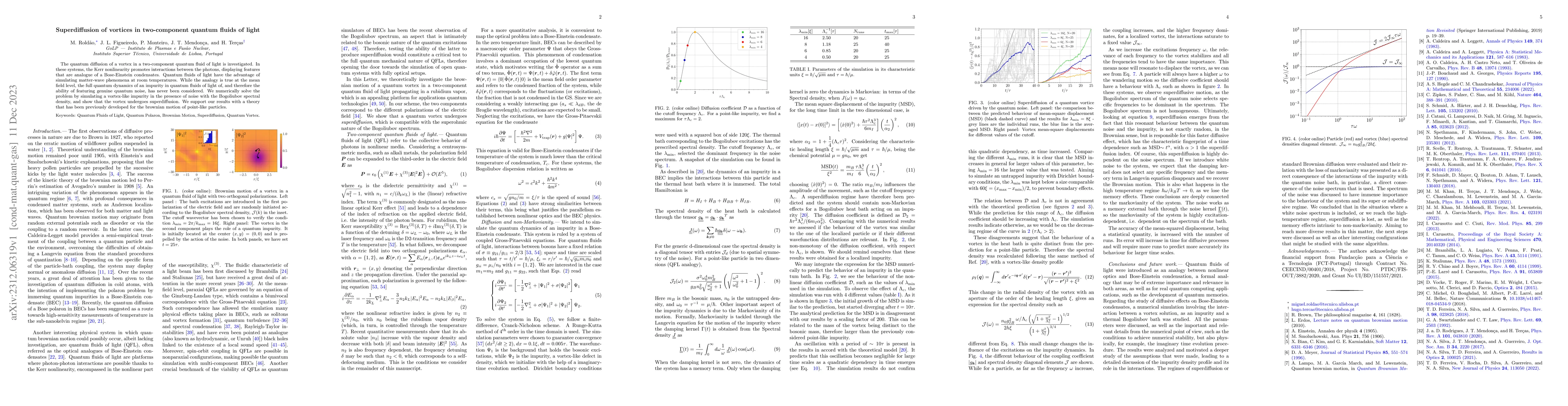 Thumbnail for Superdiffusion of vortices in two-component quantum fluids of light