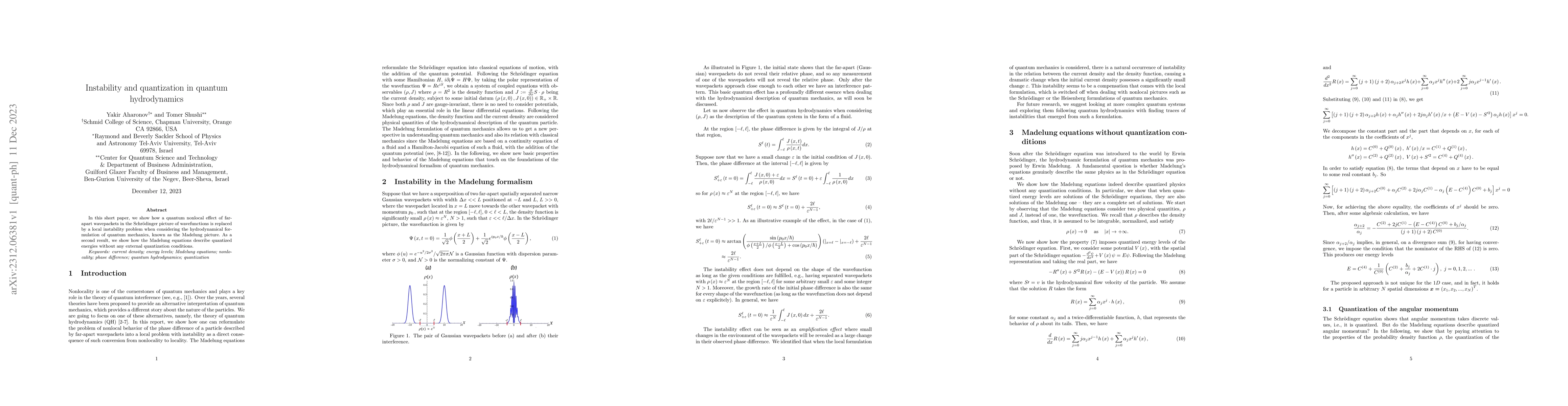 Thumbnail for Instability and quantization in quantum hydrodynamics