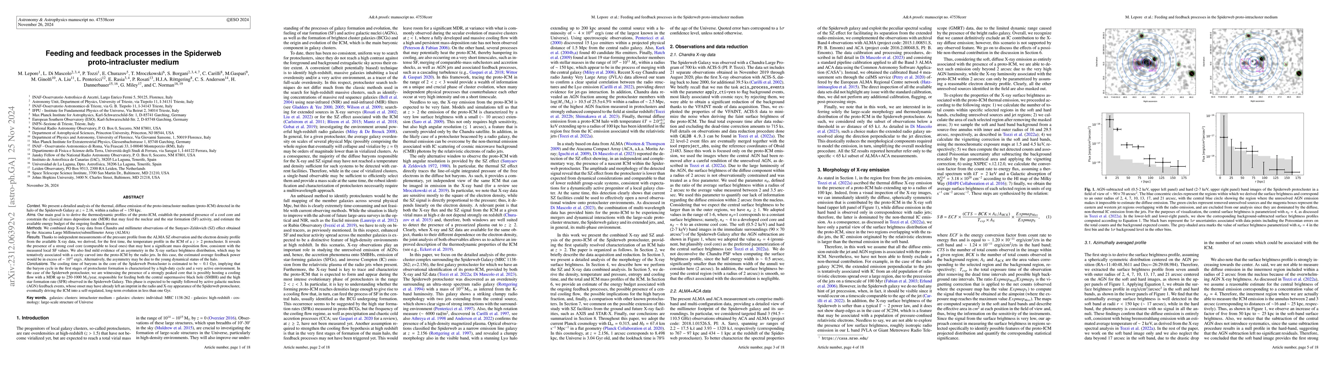 Thumbnail for Feeding and feedback processes in the Spiderweb proto-intracluster
  medium