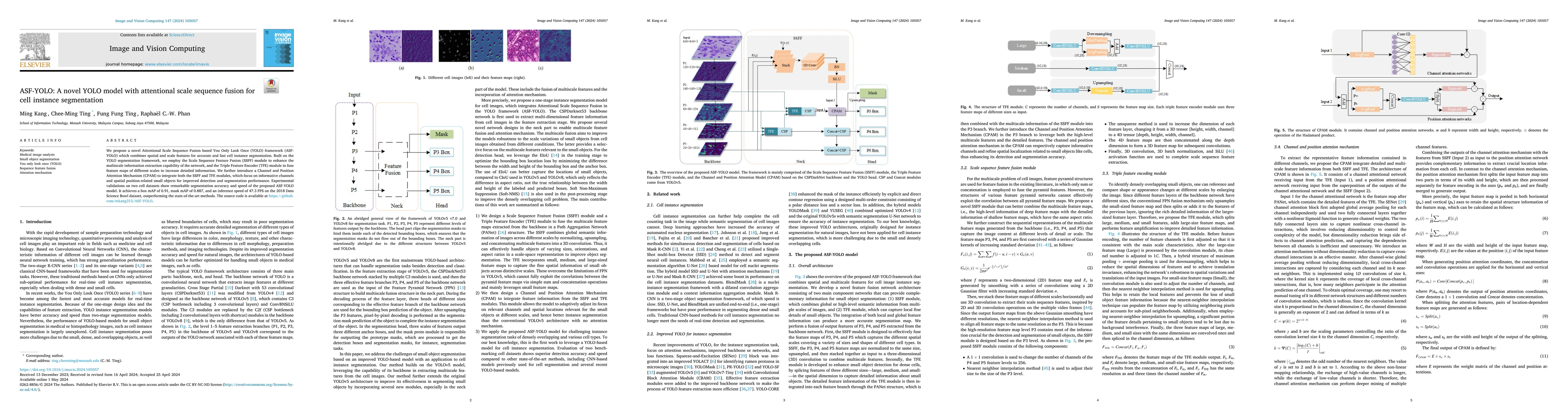 Thumbnail for ASF-YOLO: A Novel YOLO Model with Attentional Scale Sequence Fusion for
  Cell Instance Segmentation