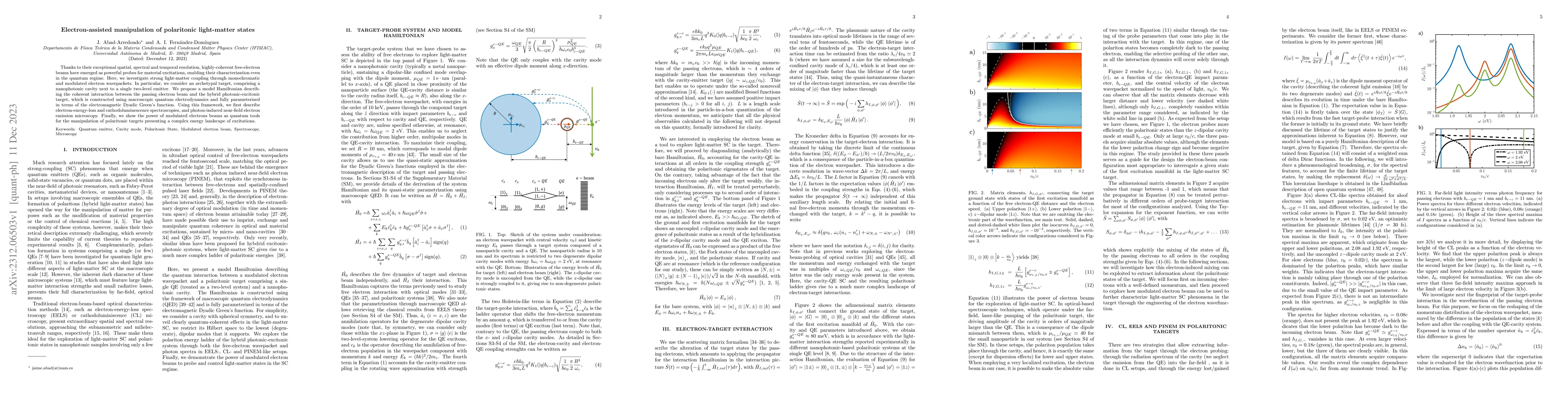 Thumbnail for Electron-assisted manipulation of polaritonic light-matter states
