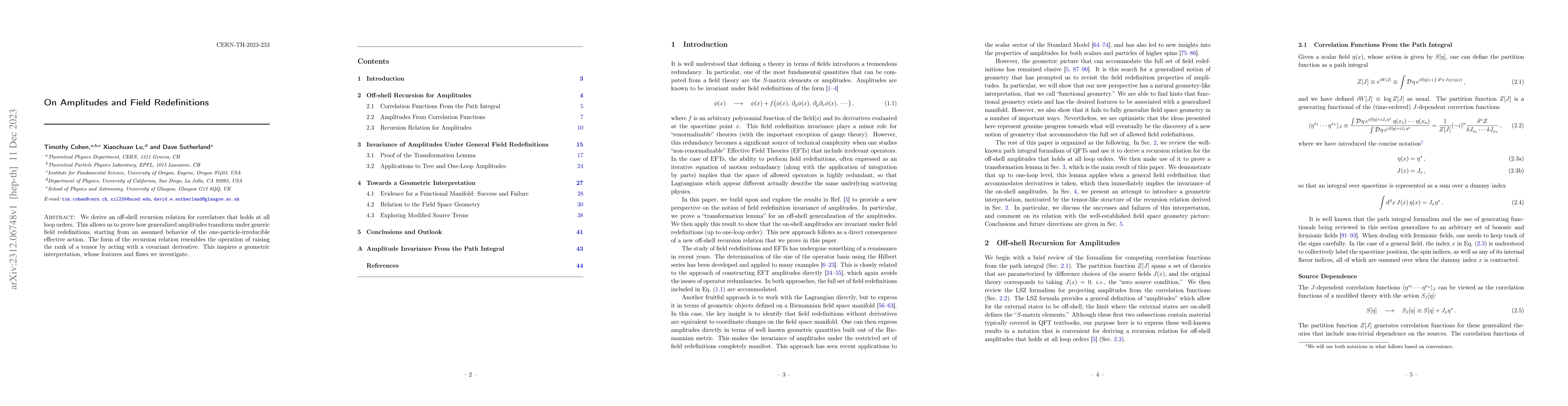 Thumbnail for On Amplitudes and Field Redefinitions