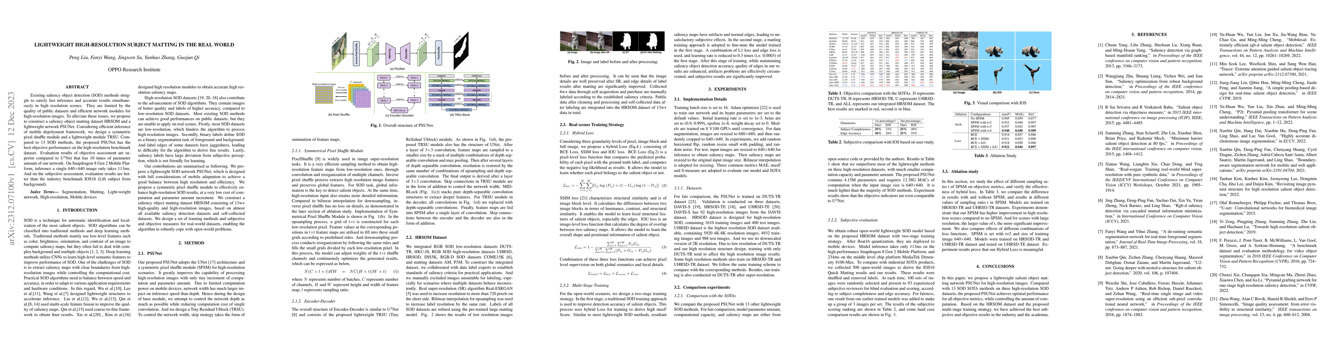 Thumbnail for Lightweight high-resolution Subject Matting in the Real World