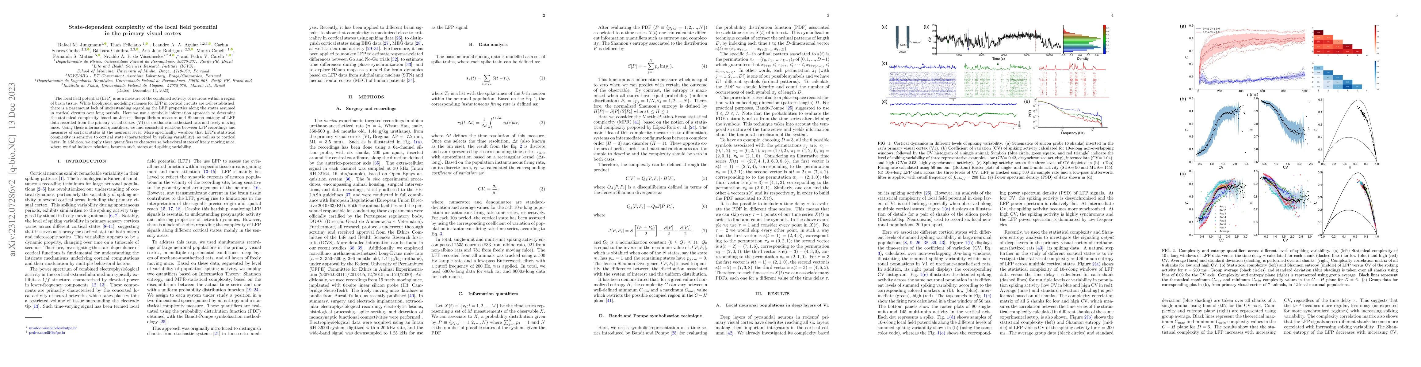 Thumbnail for State-dependent complexity of the local field potential in the primary
  visual cortex