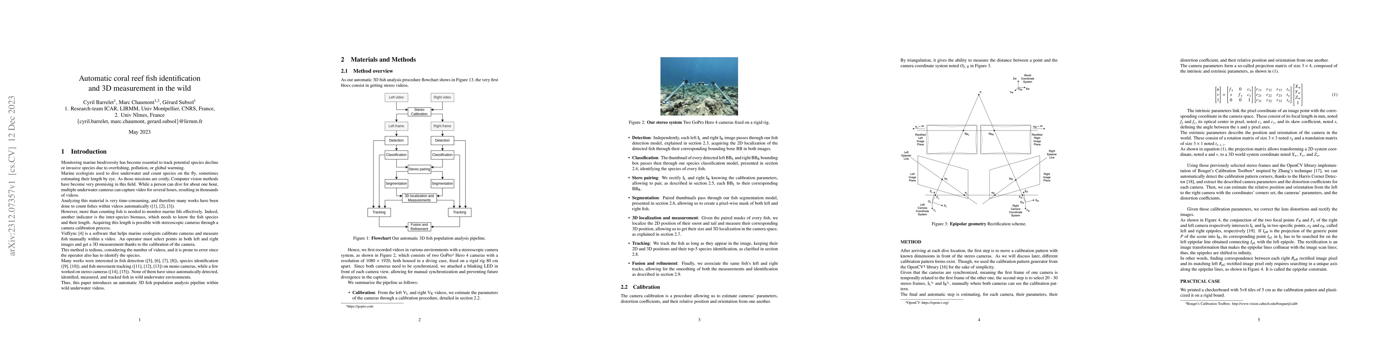 Thumbnail for Automatic coral reef fish identification and 3D measurement in the wild