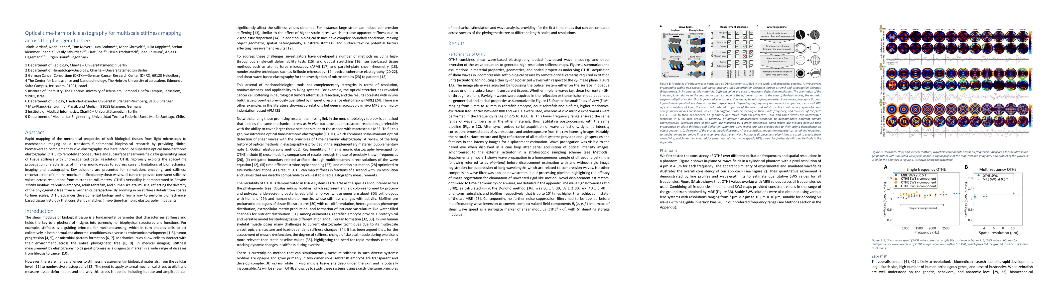 Thumbnail for Optical time-harmonic elastography for multiscale stiffness mapping
  across the phylogenetic tree