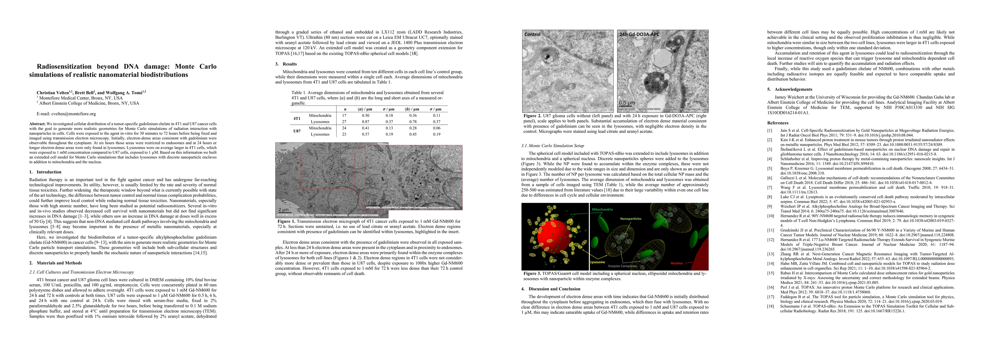 Thumbnail for Radiosensitization beyond DNA damage: Monte Carlo simulations of
  realistic nanomaterial biodistributions