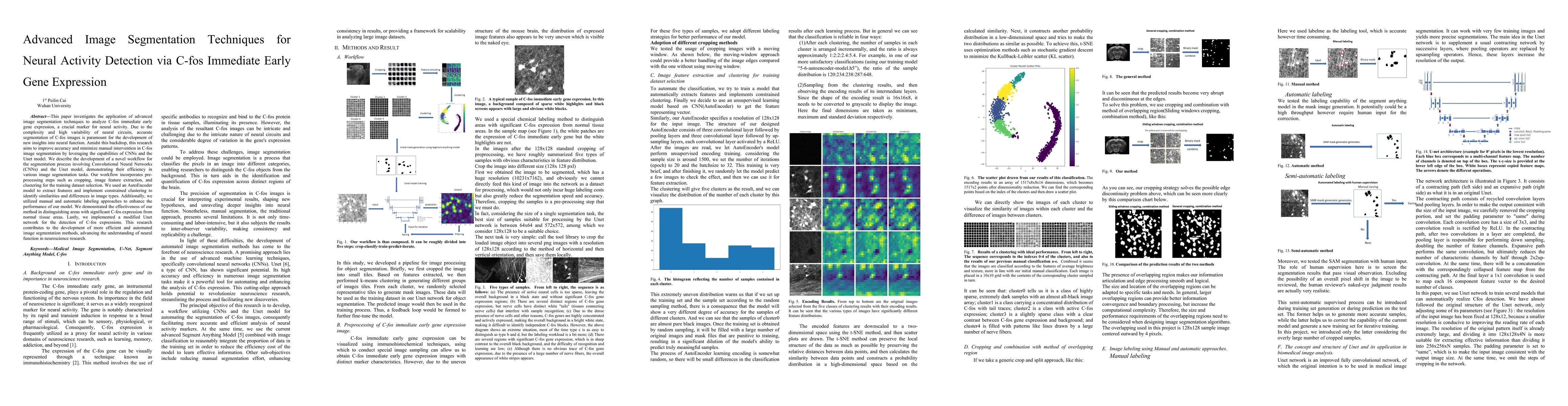 Thumbnail for Advanced Image Segmentation Techniques for Neural Activity Detection via
  C-fos Immediate Early Gene Expression