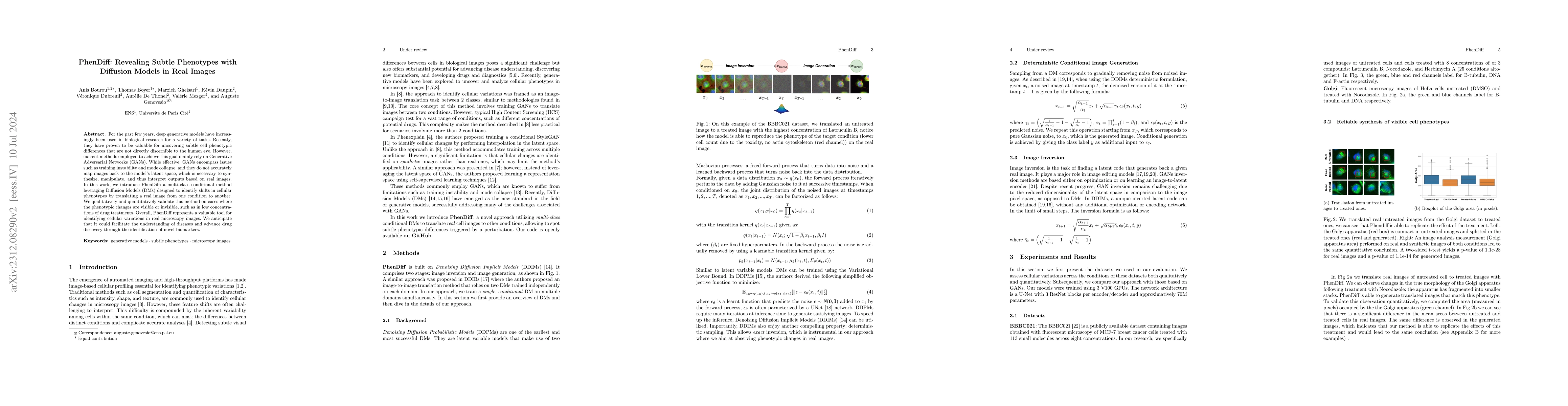 Thumbnail for PhenDiff: Revealing Subtle Phenotypes with Diffusion Models in Real
  Images